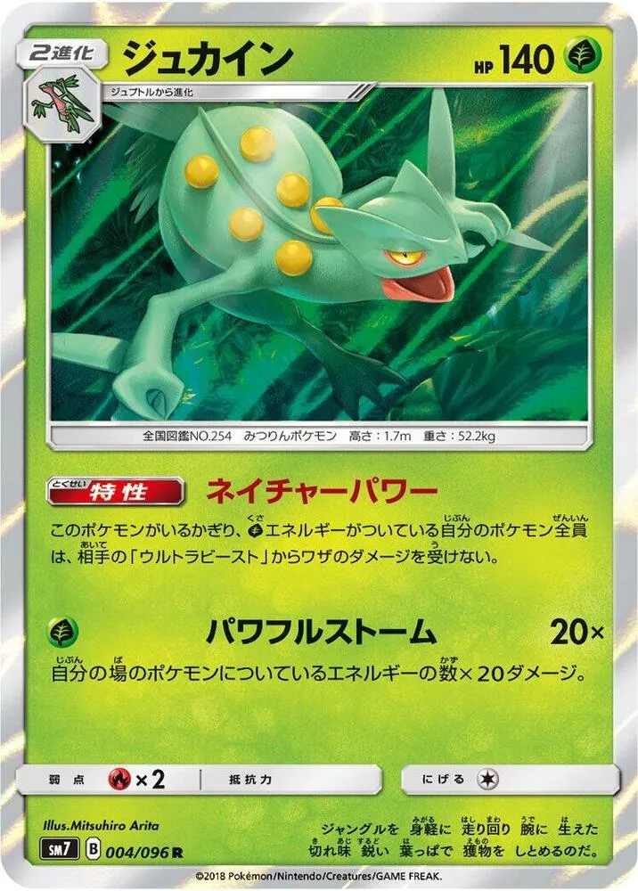 Front of Sceptile 4, 裂空のカリスマ Japanese