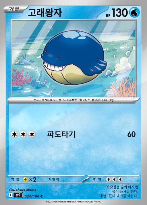 배틀파트너즈 韓国語版 고래왕자 24 カード表面