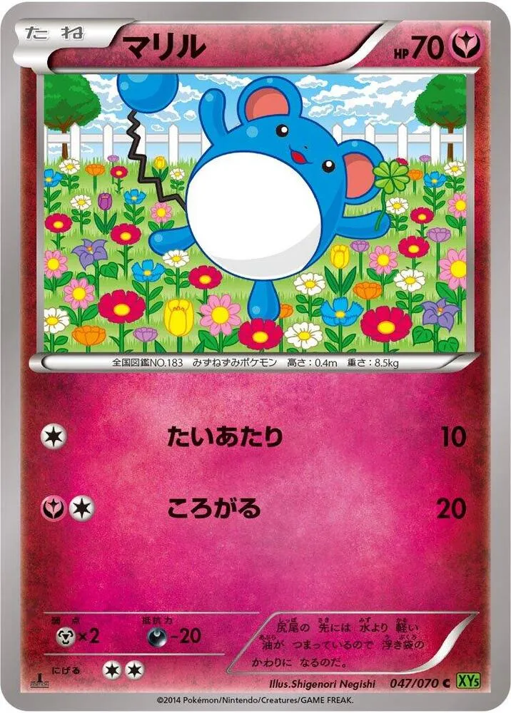 Front of Marill 47, タイダルストーム Japanese