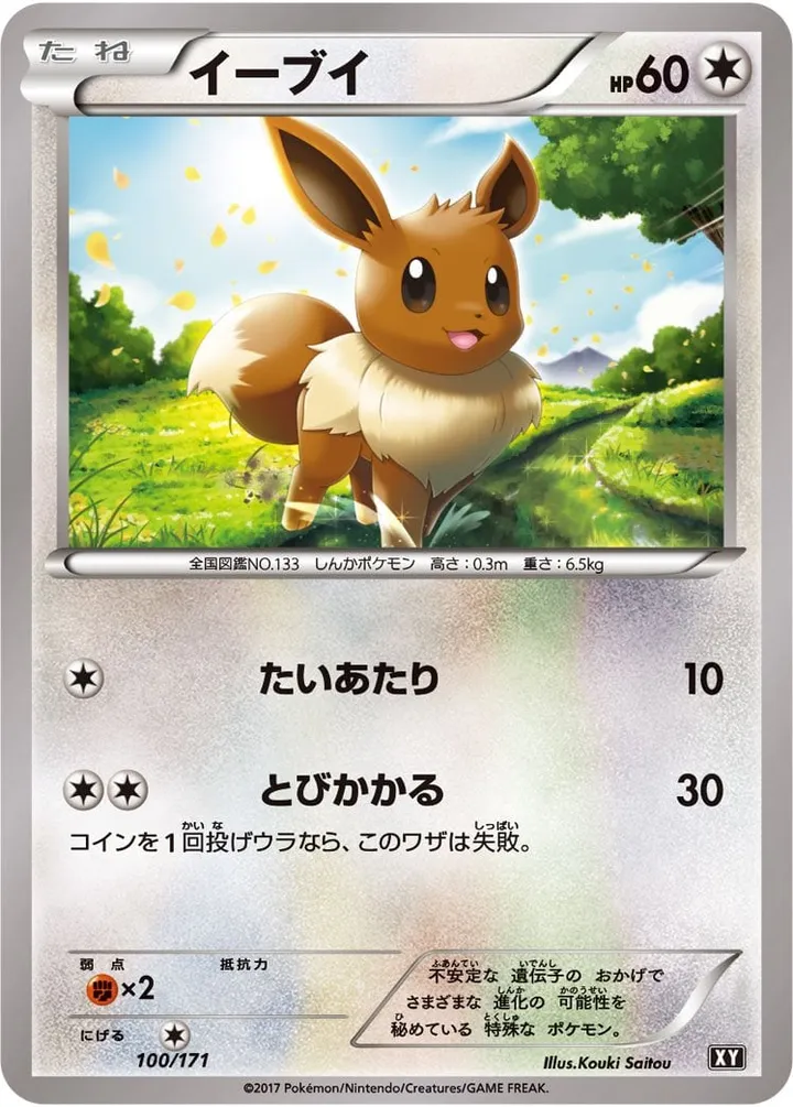 Front of Eevee 100, THE BEST OF XY Japanese