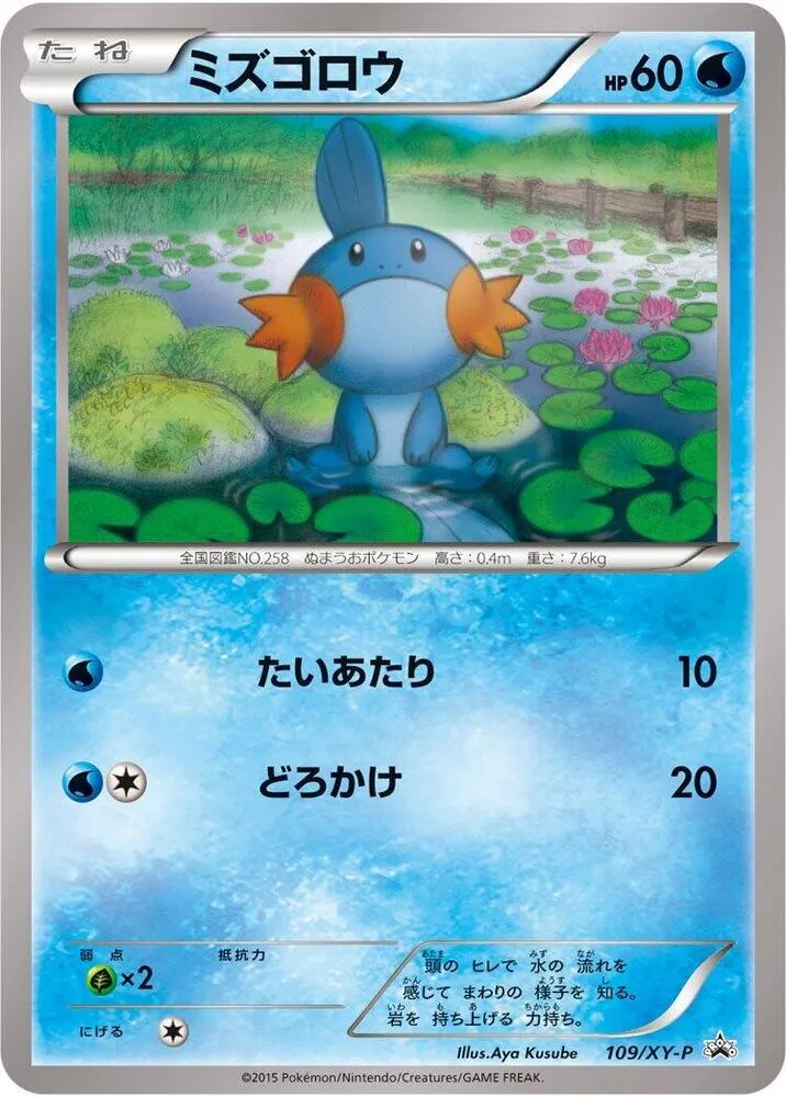 XY-Pプロモーションカード 일본판 ミズゴロウ 109 카드 앞면