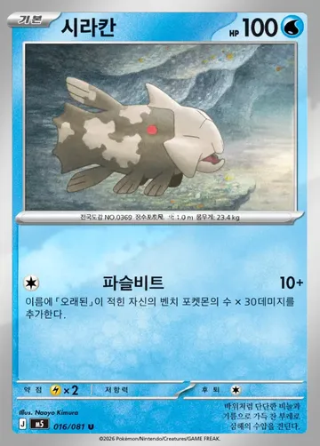 시라칸 16 ₩1,000