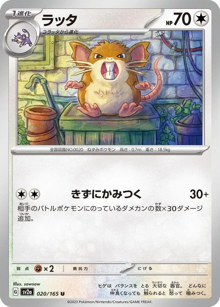 Front of Raticate 20, ポケモンカード151 Japanese