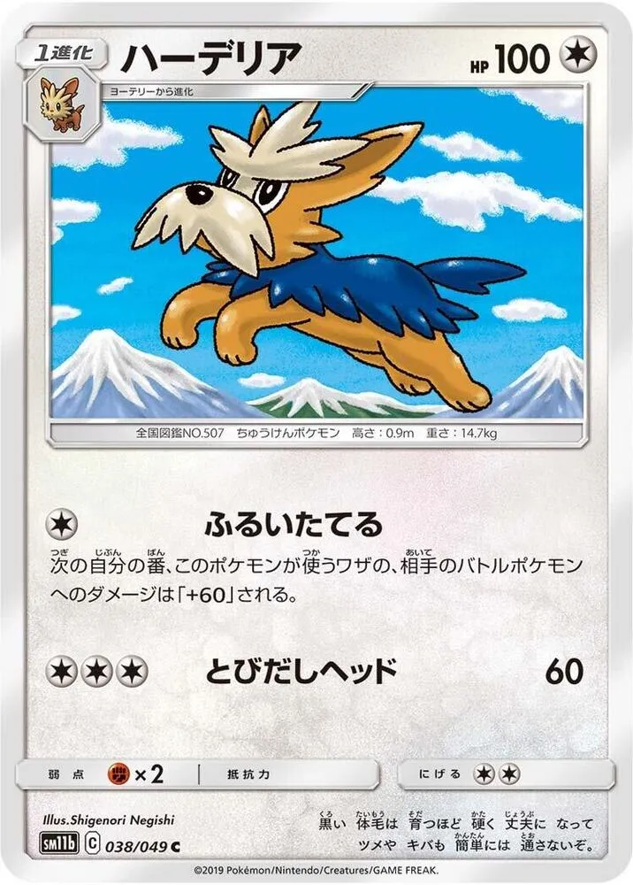 Front of Herdier 38, ドリームリーグ Japanese