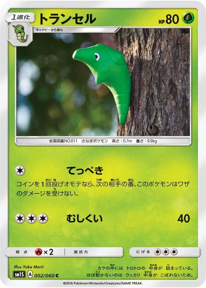 Front of Metapod 2, コレクション サン Japanese