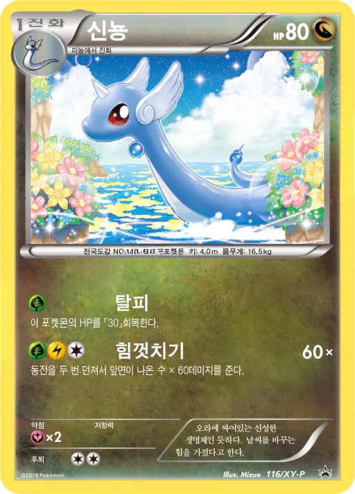 XY 프로모 카드 韓国語版 신뇽 116 カード表面