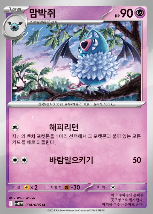 Front of 맘박쥐 34, 화이트플레어 Korean