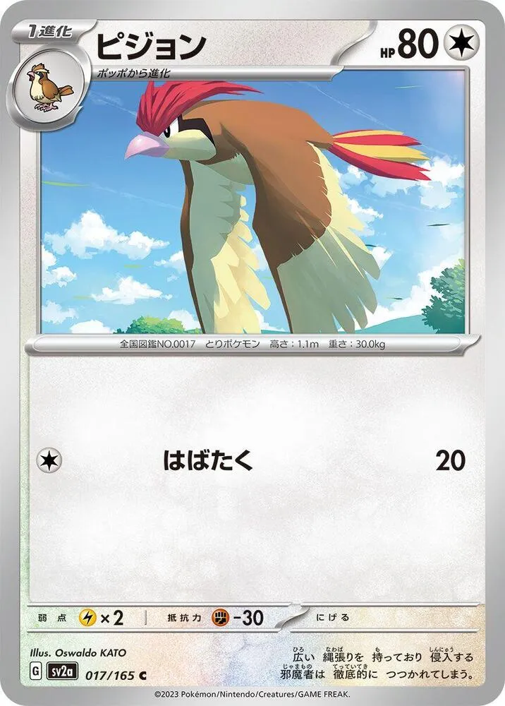 Front of Pidgeotto 17, ポケモンカード151 Japanese
