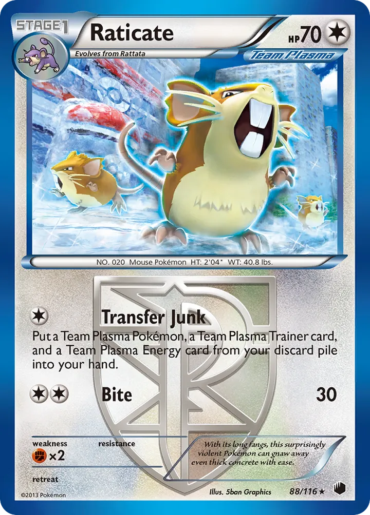 Black & White—Plasma Freeze 영어판 Raticate 88 카드 앞면