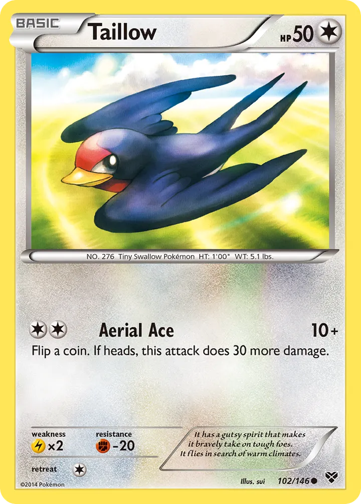 XY 영어판 Taillow 102 카드 앞면