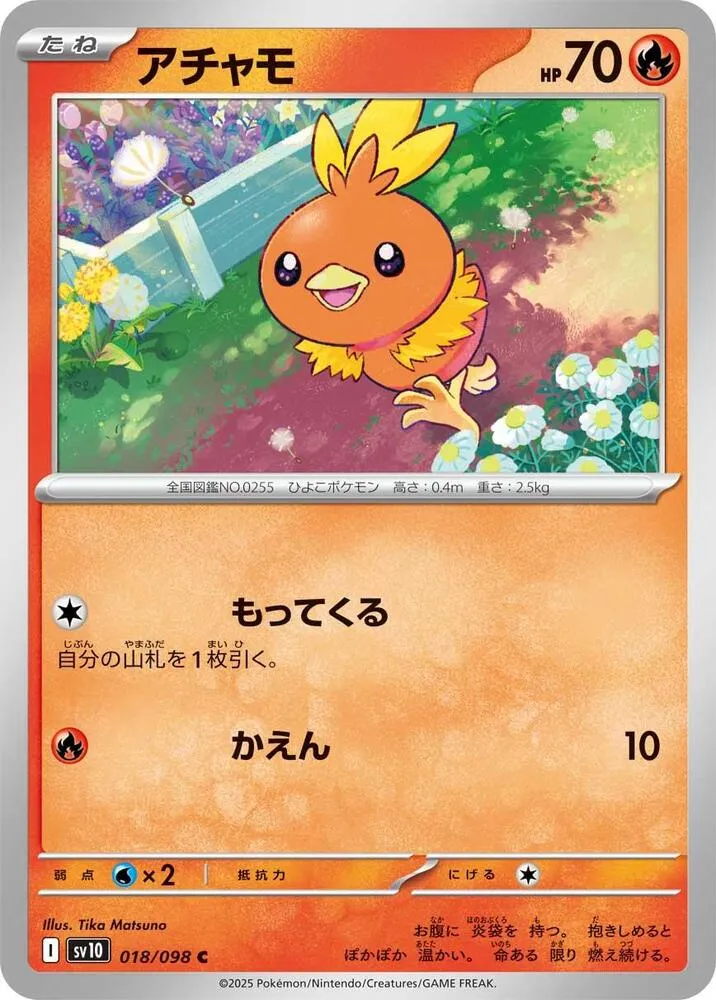 Front of Torchic 18, ロケット団の栄光 Japanese