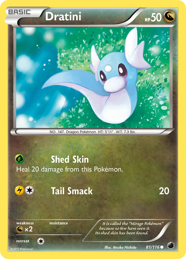 Black & White—Plasma Freeze 영어판 Dratini 81 카드 앞면