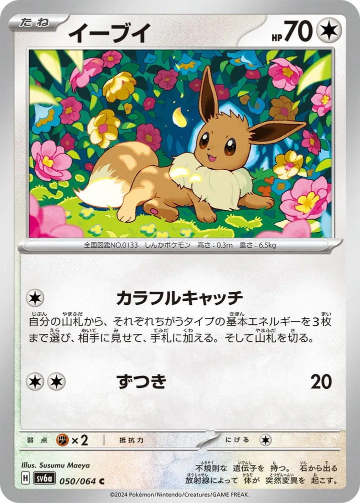 Front of Eevee 50, ナイトワンダラー Japanese