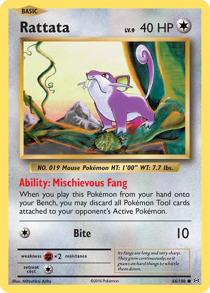 XY—Evolutions 영어판 Rattata 66 카드 앞면