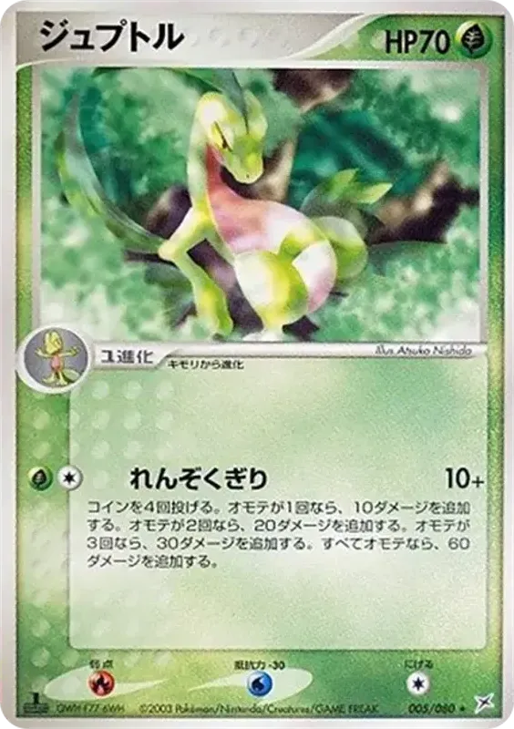 Front of Grovyle 5, マグマVSアクア ふたつの野望 Japanese