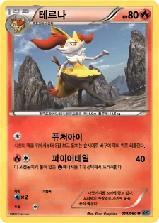 X컬렉션 韓国語版 테르나 14 カード表面