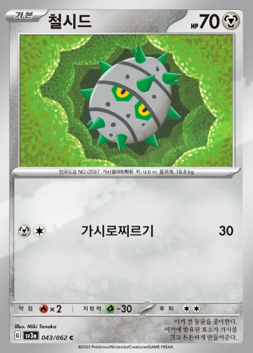 Front of 철시드 43, 레이징서프 Korean