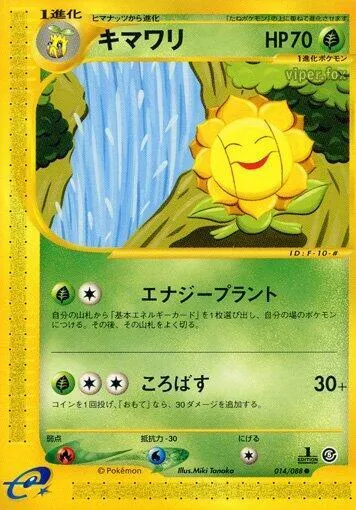 Front of Sunflora 14, 神秘なる山 Japanese