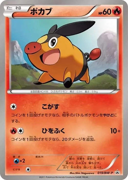 Front of Tepig 19, BW-Pプロモーションカード Japanese