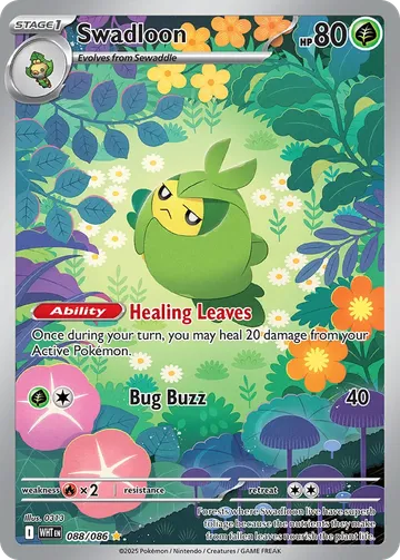 Swadloon 88 ₩14,075