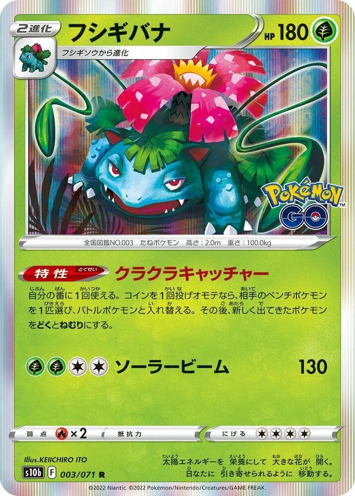 Front of Venusaur 3, Pokémon GO Japanese