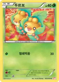 Front of 두르보 5, 콜드플레어 Korean