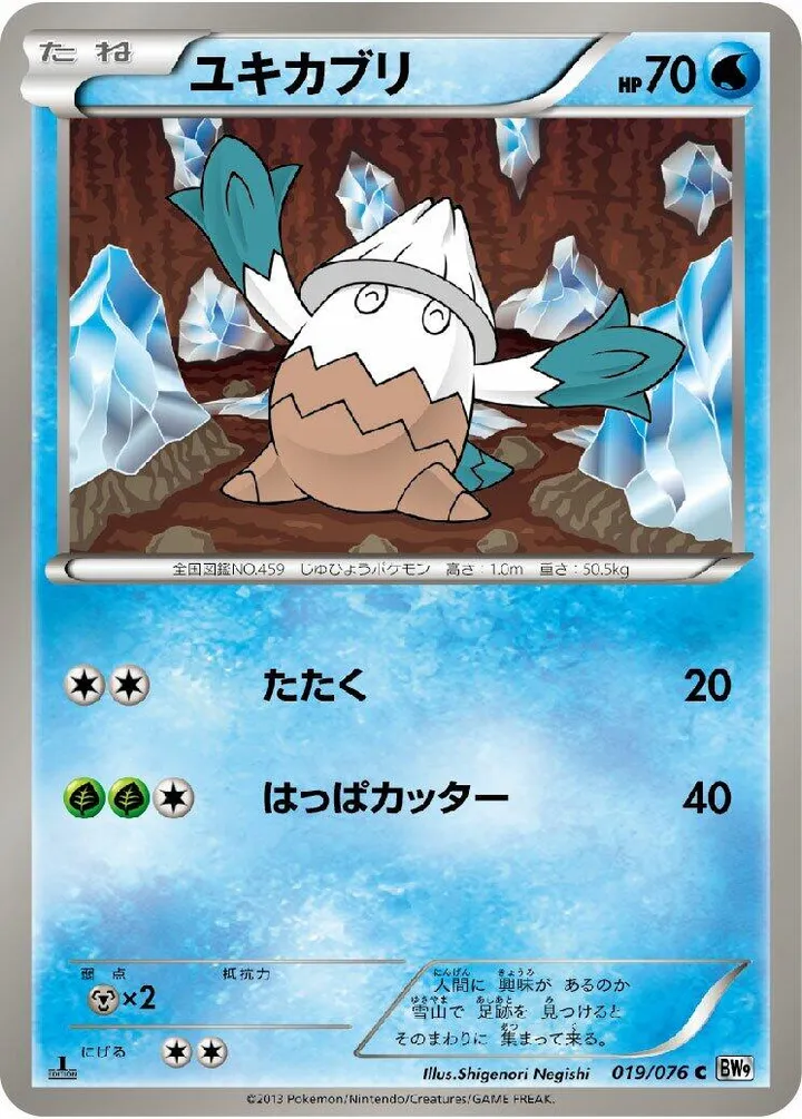Front of Snover 19, メガロキャノン Japanese
