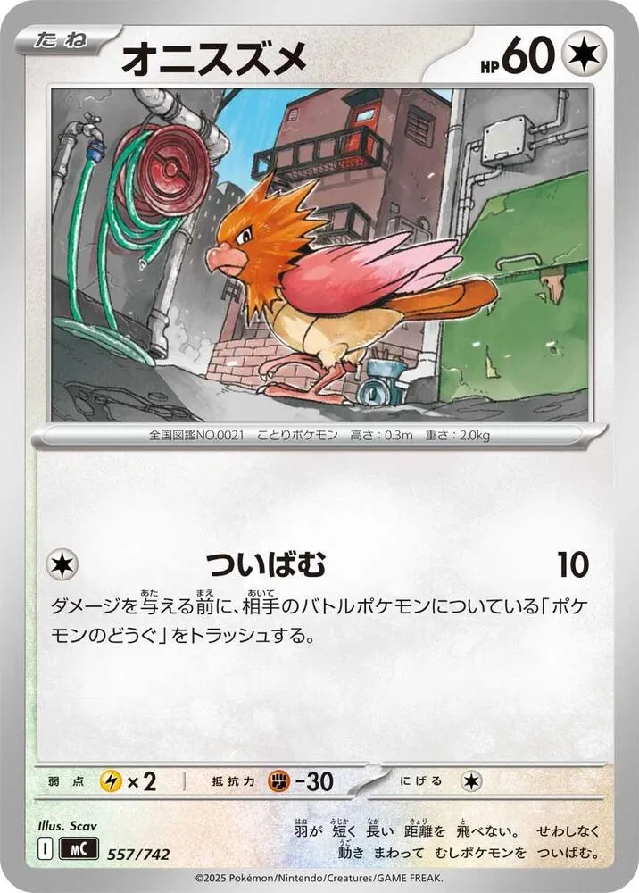 Front of Spearow 557, スタートデッキ100 バトルコレクション Japanese