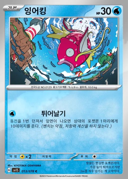 스칼렛 ex 韓国語版 잉어킹 13 カード表面