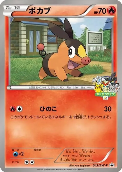 Front of Tepig 43, BW-Pプロモーションカード Japanese
