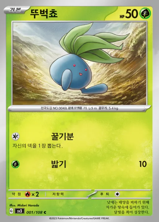 흑염의 지배자 韓国語版 뚜벅쵸 1 カード表面