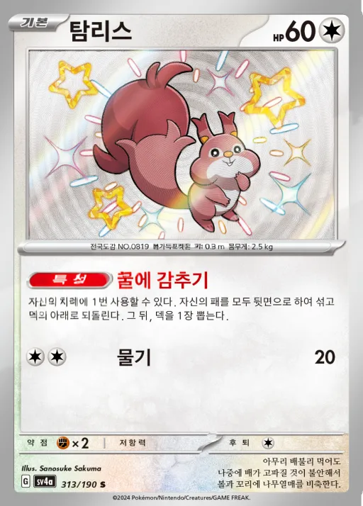 Front of 탐리스 313, 샤이니트레저 ex Korean