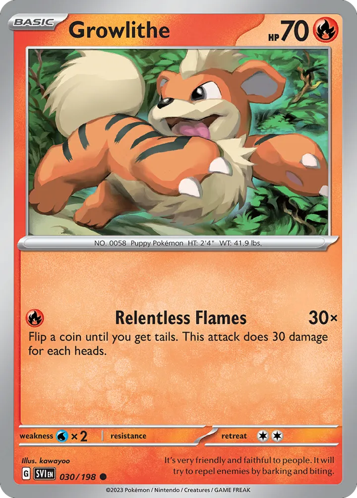 Scarlet & Violet 영어판 Growlithe 30 카드 앞면