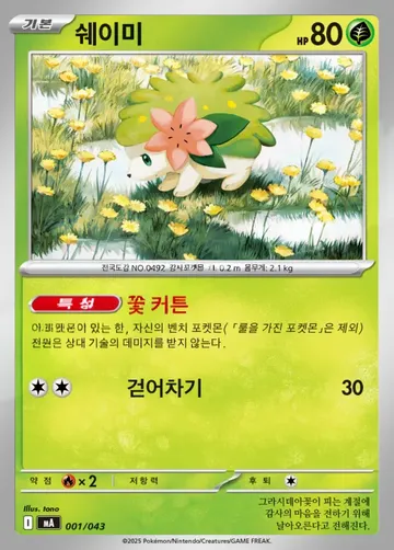 쉐이미