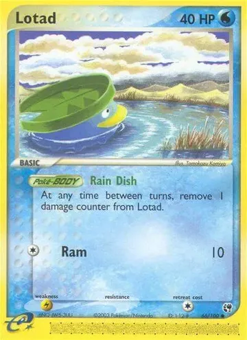 Lotad 66 ¥363