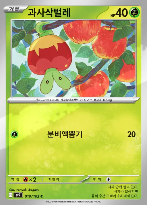 Front of 과사삭벌레 10, 스텔라미라클 Korean