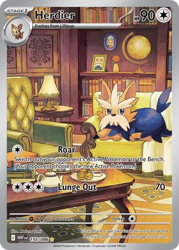 Herdier 155 ₩21,019