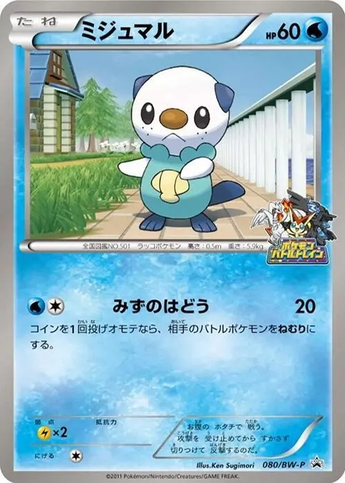 Front of Oshawott 80, BW-Pプロモーションカード Japanese