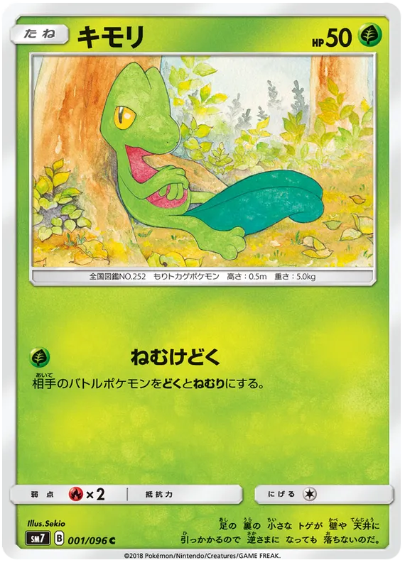 Front of Treecko 1, 裂空のカリスマ Japanese