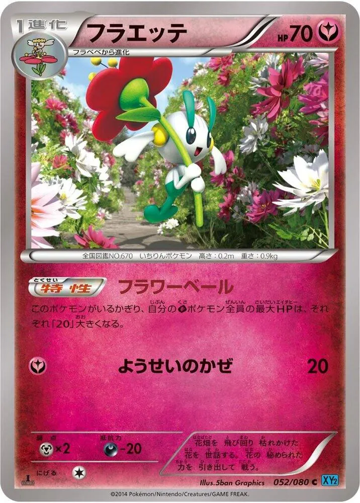 Front of Floette 52, ワイルドブレイズ Japanese