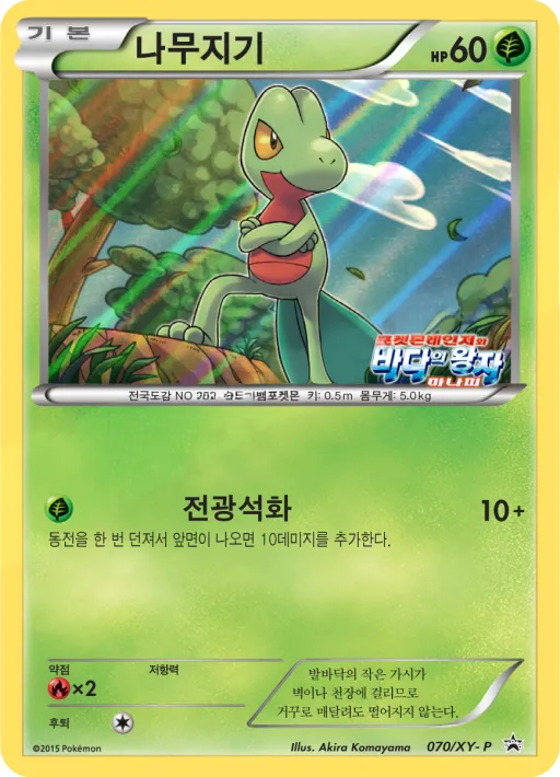 XY 프로모 카드 韓国語版 나무지기 70 カード表面