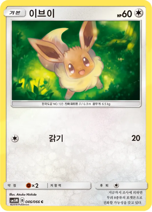 Front of 이브이 46, 울트라문 Korean