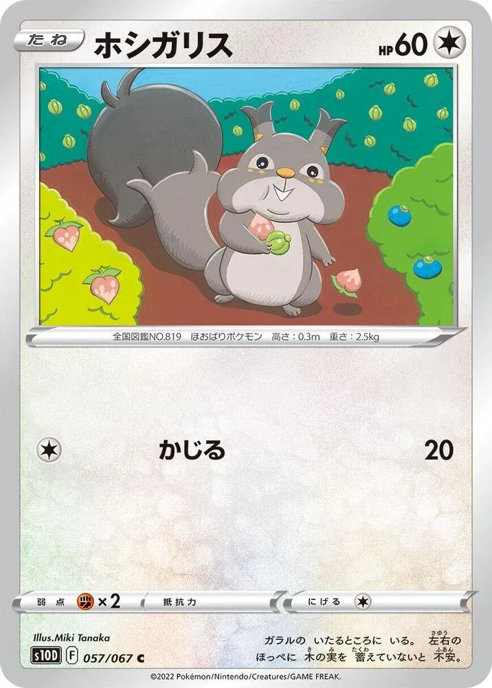 Front of Skwovet 57, タイムゲイザー Japanese
