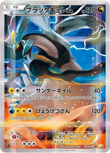 ブラックキュレム 20 ₩118,804