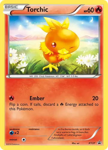 Torchic XY37 ₩8,405