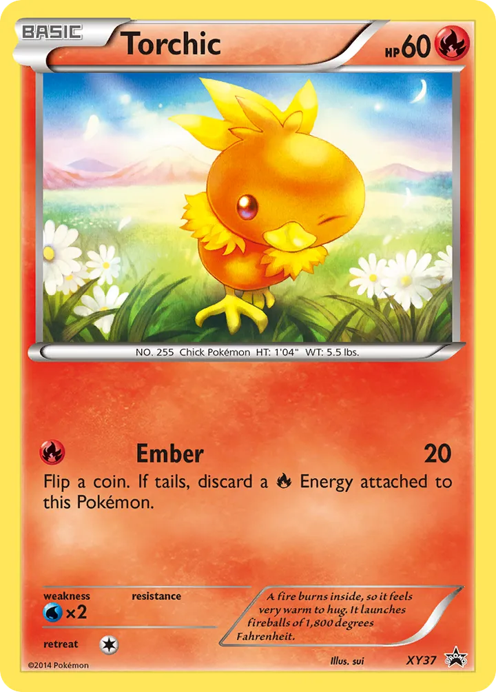 XY Black Star Promos 英語版 Torchic XY37 カード表面