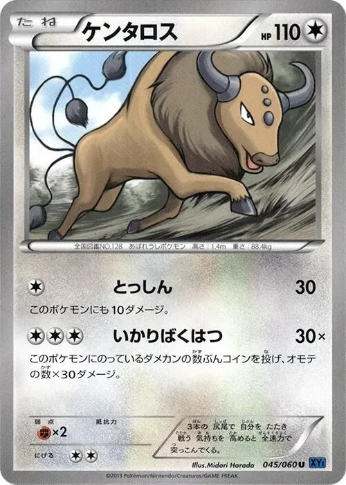 Front of Tauros 45, コレクションX Japanese