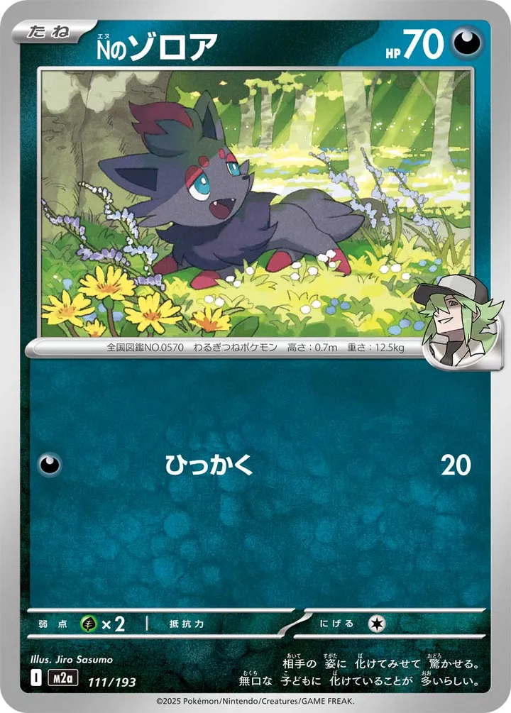 Front of N's Zorua 111, MEGAドリームex Japanese