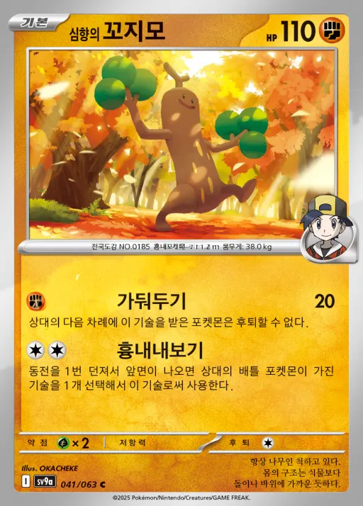 Front of 심향의 꼬지모 41, 열풍의 아레나 Korean