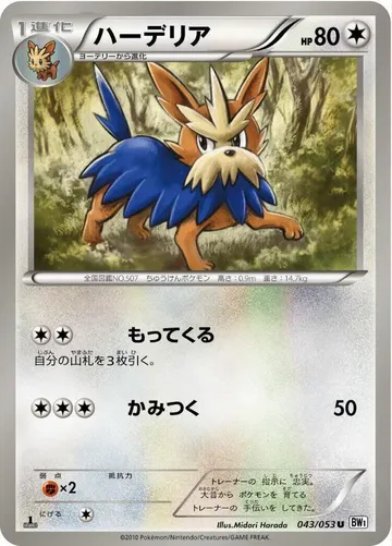 ハーデリア 43 ₩4,008